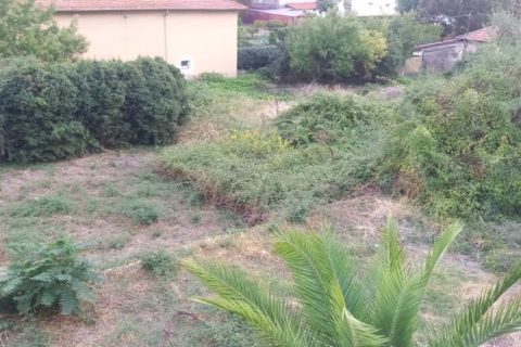 Terra a Vallecrosia, Imperia, Vallecrosia - € 50.000 | Ref: t 365 - foto 4