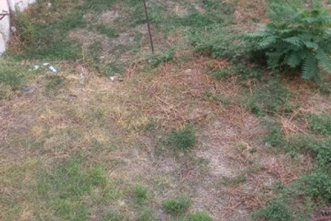 Terra a Vallecrosia, Imperia, Vallecrosia - € 50.000 | Ref: t 365 - foto 5