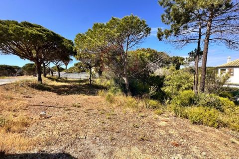 Helårsgrund i Almancil, Faro, Almancil - € 2.075.000 | Ref: SÒL_974 - foto 5
