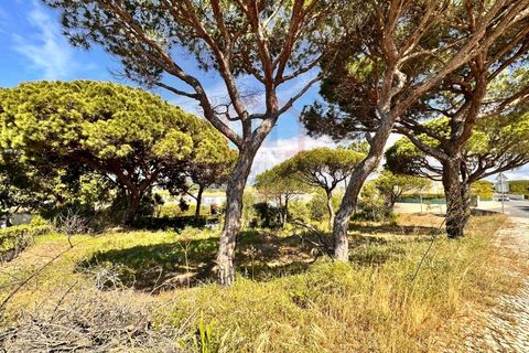 Helårsgrund i Almancil, Faro, Almancil - € 2.075.000 | Ref: SÒL_974 - foto 9