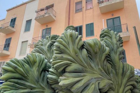 Lejlighed i Lecce, Lecce, Lecce - € 105.000 | Ref: 373 - foto 13