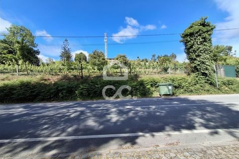 Helårsgrund i Lousada, Porto, Lousada - € 500.000 | Ref: 365/T/03341 - foto 2