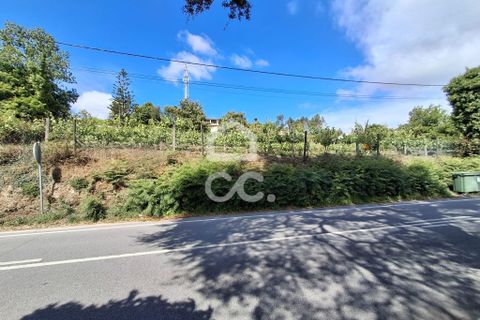 Helårsgrund i Lousada, Porto, Lousada - € 500.000 | Ref: 365/T/03341 - foto 4