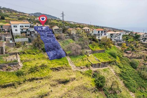 Villa i Calheta, Madeira, Calheta - € 220.000 | Ref: 123511098-154 - foto 19