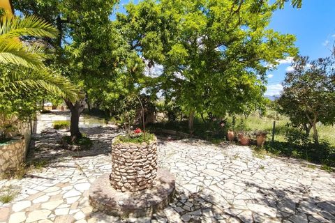 Masia a Sax, Alicante, Sax - € 213.000 | Ref: CAS_1635 - foto 34
