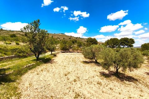 Masia a Sax, Alicante, Sax - € 213.000 | Ref: CAS_1635 - foto 35