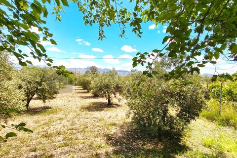 Masia a Sax, Alicante, Sax - € 213.000 | Ref: CAS_1635 - foto 36