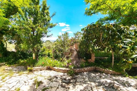 Masia a Sax, Alicante, Sax - € 213.000 | Ref: CAS_1635 - foto 37