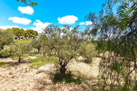 Masia a Sax, Alicante, Sax - € 213.000 | Ref: CAS_1635 - foto 38