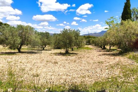 Masia a Sax, Alicante, Sax - € 213.000 | Ref: CAS_1635 - foto 39