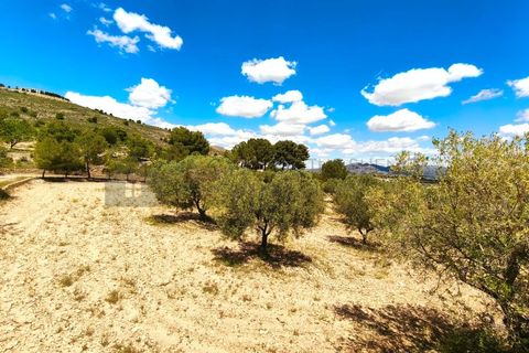 Masia a Sax, Alicante, Sax - € 213.000 | Ref: CAS_1635 - foto 40