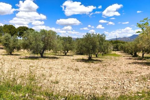 Masia a Sax, Alicante, Sax - € 213.000 | Ref: CAS_1635 - foto 41