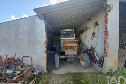 Helårsgrund i Mafra, Lisbon, Mafra - € 230.000 | Ref: 716555 - foto 19