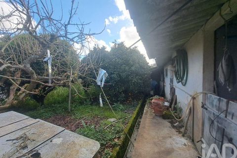 Helårsgrund i Mafra, Lisbon, Mafra - € 230.000 | Ref: 716555 - foto 23