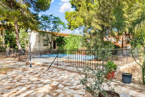 Villa i Torrevieja, Alicante, Torrevieja - € 550.000 | Ref: 779808 - foto 6
