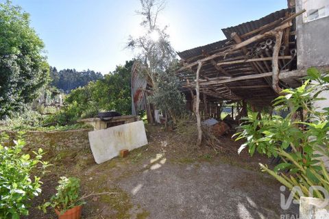 Byhus i Miranda do Corvo, Coimbra, Miranda do Corvo - € 124.000 | Ref: 920842 - foto 27