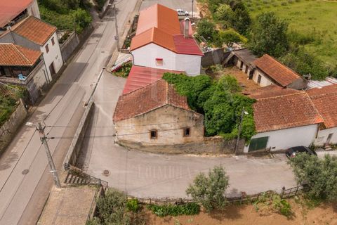 Villa a Mealhada, Aveiro, Mealhada - € 35.000 | Ref: LUX_CB-01409 - foto 3