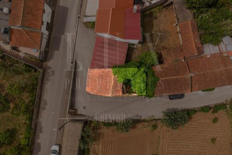 Villa a Mealhada, Aveiro, Mealhada - € 35.000 | Ref: LUX_CB-01409 - foto 5