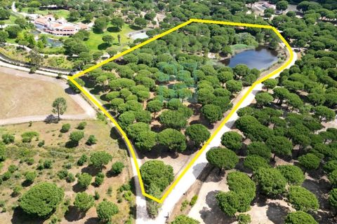 Terra a Santarem, Santarem, Santarem - € 463.000 | Ref: 119350 - foto 2