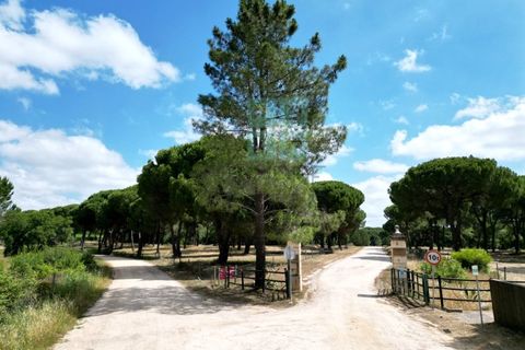 Terra a Santarem, Santarem, Santarem - € 463.000 | Ref: 119350 - foto 5