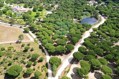 Terra a Santarem, Santarem, Santarem - € 463.000 | Ref: 119350 - foto 6
