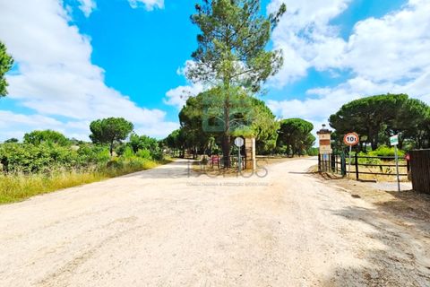 Terra a Santarem, Santarem, Santarem - € 463.000 | Ref: 119350 - foto 7