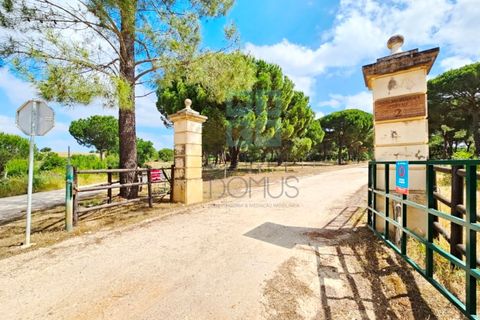 Terra a Santarem, Santarem, Santarem - € 463.000 | Ref: 119350 - foto 8