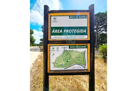 Terra a Santarem, Santarem, Santarem - € 463.000 | Ref: 119350 - foto 10