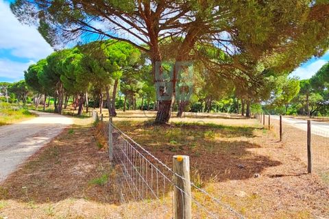 Terra a Santarem, Santarem, Santarem - € 463.000 | Ref: 119350 - foto 12
