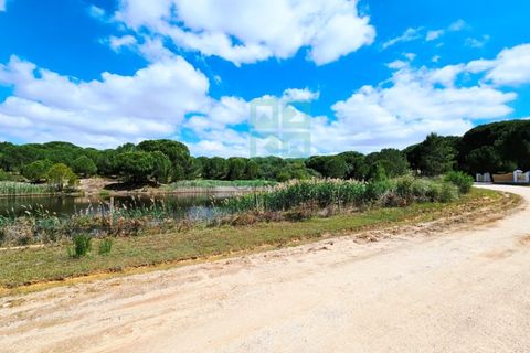 Terra a Santarem, Santarem, Santarem - € 463.000 | Ref: 119350 - foto 14