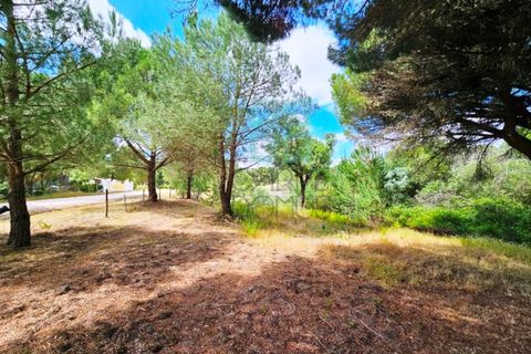 Terra a Santarem, Santarem, Santarem - € 463.000 | Ref: 119350 - foto 15