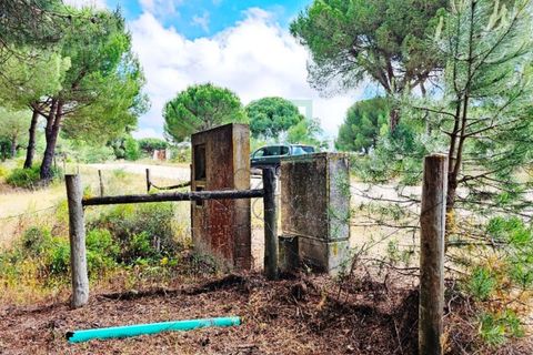 Terra a Santarem, Santarem, Santarem - € 463.000 | Ref: 119350 - foto 17