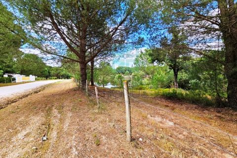 Terra a Santarem, Santarem, Santarem - € 463.000 | Ref: 119350 - foto 19