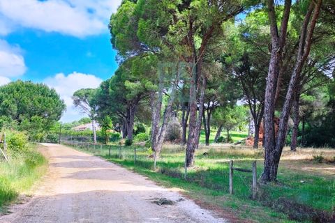 Terra a Santarem, Santarem, Santarem - € 463.000 | Ref: 119350 - foto 22
