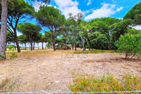 Terra a Santarem, Santarem, Santarem - € 463.000 | Ref: 119350 - foto 23
