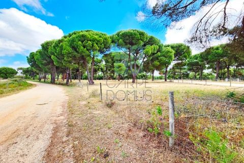 Terra a Santarem, Santarem, Santarem - € 463.000 | Ref: 119350 - foto 24