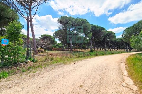 Terra a Santarem, Santarem, Santarem - € 463.000 | Ref: 119350 - foto 25
