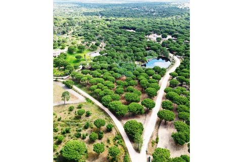 Terra a Santarem, Santarem, Santarem - € 463.000 | Ref: 119350 - foto 27