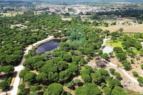 Terra a Santarem, Santarem, Santarem - € 463.000 | Ref: 119350 - foto 30