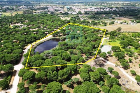 Terra a Santarem, Santarem, Santarem - € 463.000 | Ref: 119350 - foto 31