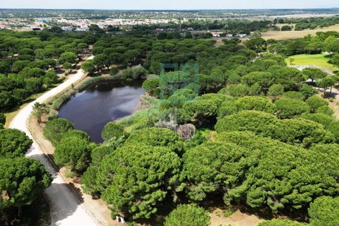 Terra a Santarem, Santarem, Santarem - € 463.000 | Ref: 119350 - foto 32