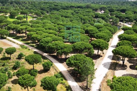 Terra a Santarem, Santarem, Santarem - € 463.000 | Ref: 119350 - foto 33
