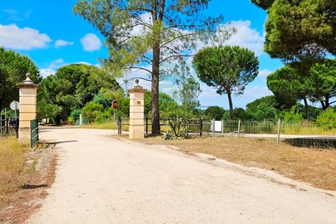 Terra a Santarem, Santarem, Santarem - € 463.000 | Ref: 119350 - foto 34