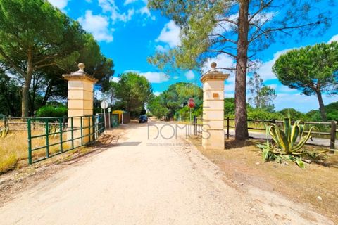 Terra a Santarem, Santarem, Santarem - € 463.000 | Ref: 119350 - foto 35