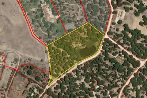 Terra a Santarem, Santarem, Santarem - € 463.000 | Ref: 119350 - foto 37