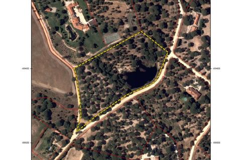 Terra a Santarem, Santarem, Santarem - € 463.000 | Ref: 119350 - foto 38