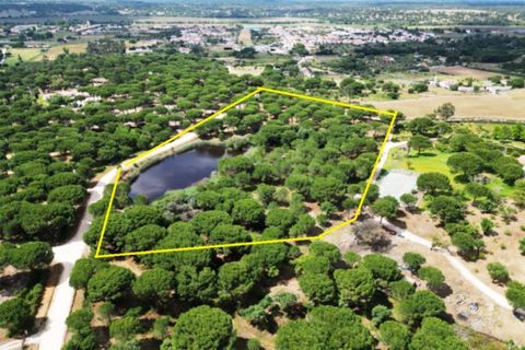 Terra a Santarem, Santarem, Santarem - € 463.000 | Ref: 119350 - foto 45