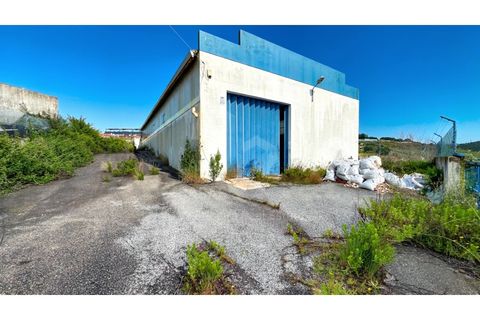 Erhvervsejendom i Mafra, Lisbon, Mafra - € 378.000 | Ref: V26134 - foto 1