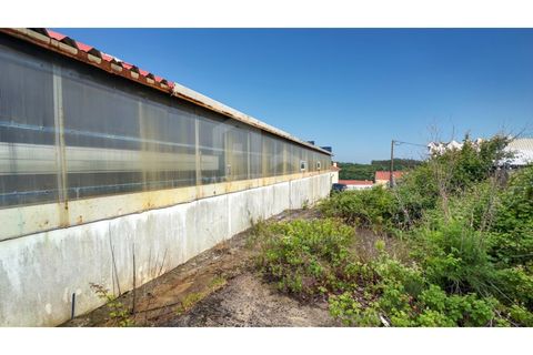 Erhvervsejendom i Mafra, Lisbon, Mafra - € 378.000 | Ref: V26134 - foto 9