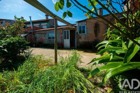 Rækkehus i Miranda do Corvo, Coimbra, Miranda do Corvo - € 90.000 | Ref: 917409 - foto 31